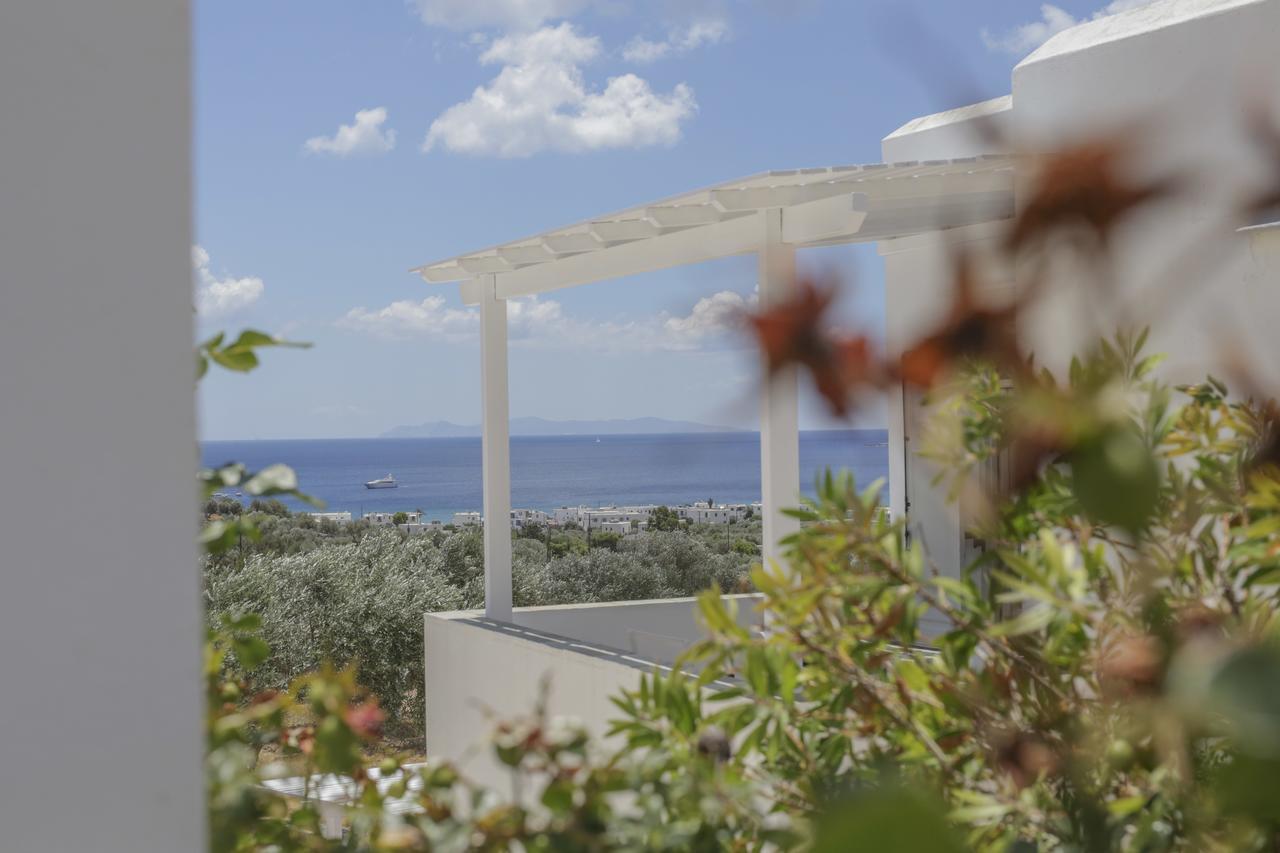 Platis Gialos Ktima Vrisianaアパートメント エクステリア 写真